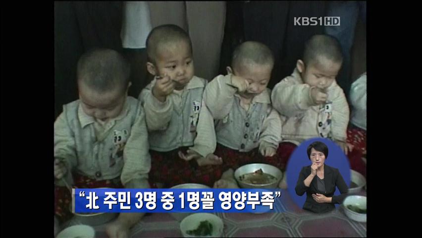“북한 주민 3명 중 1명꼴 영양부족”