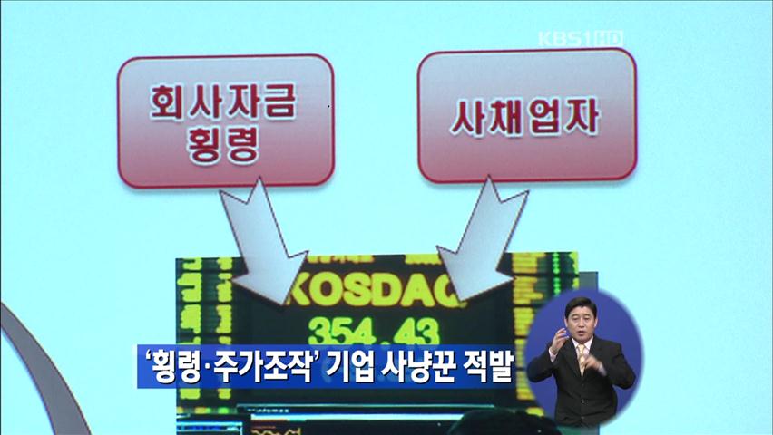 ‘횡령·주가 조작’ 기업 사냥꾼 적발