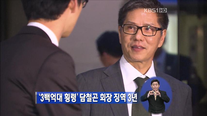 ‘300억 대 횡령’ 담철곤 회장 징역 3년