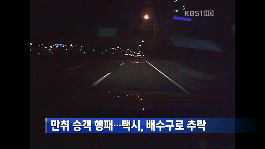 만취 승객 행패…택시, 배수구로 추락