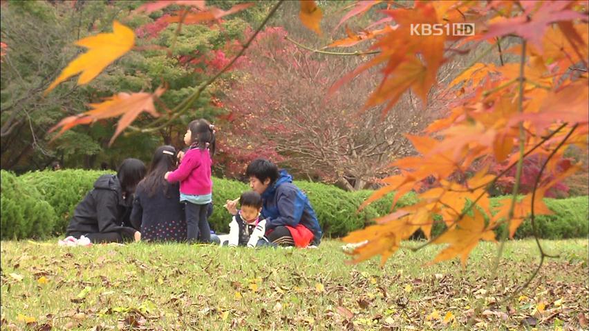 울긋불긋 단풍 물결 ‘넘실’…나들이객 수만 명