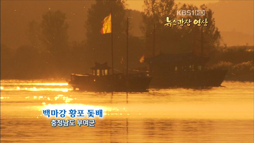 [뉴스광장 영상] 백마강 황포 돛배