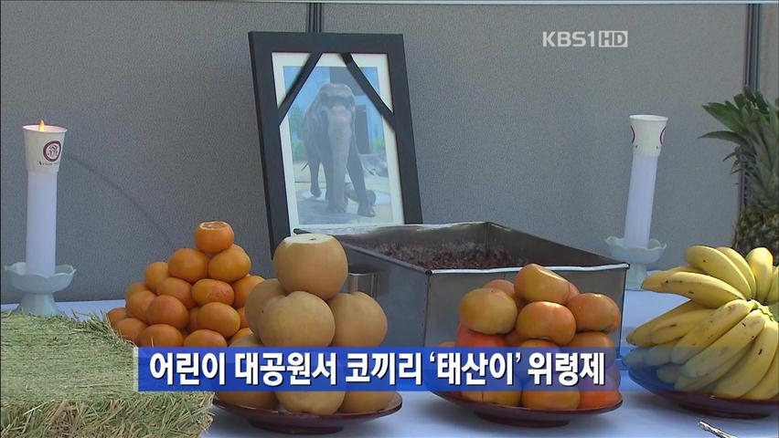 어린이 대공원서 코끼리 ‘태산이’ 위령제