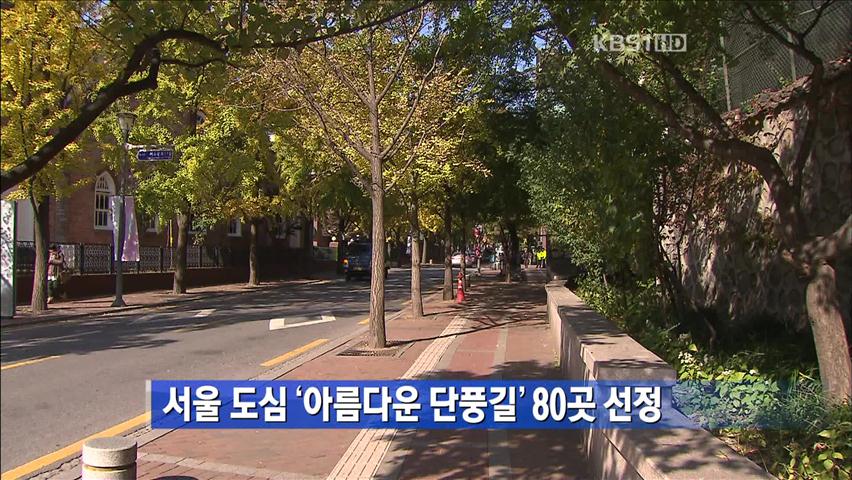 서울 도심 ‘아름다운 단풍길’ 80곳 선정