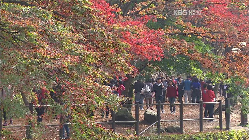 가을 담은 풍성한 축제…시민들 ‘함박웃음’