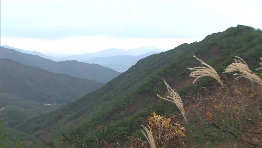 지리산, 20년 안에 난대림으로 변한다