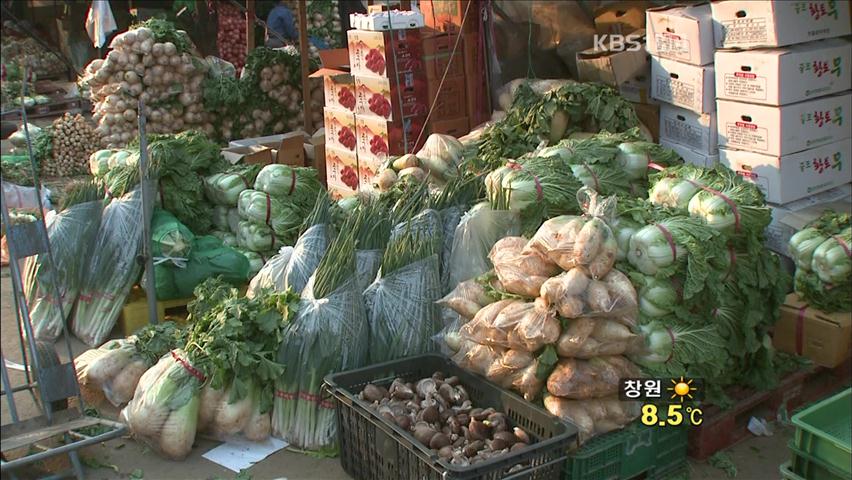 [생생경제] “김장 비용, 전통시장이 마트보다 21% 싸”