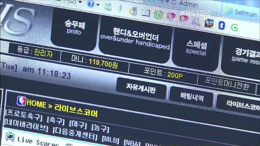 800억대 불법 사설 스포츠 토토 적발