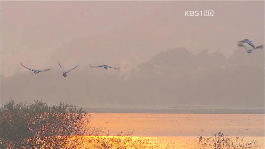 [뉴스광장 영상] 주남 저수지