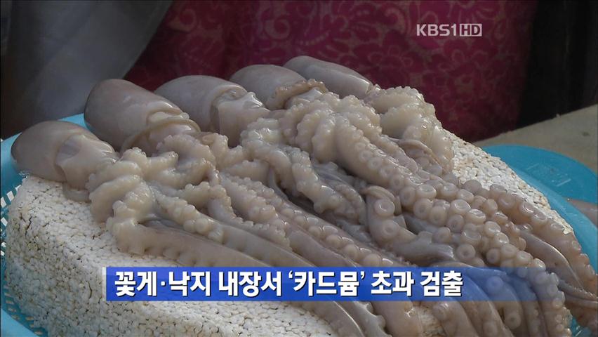 꽃게·낙지 내장서 ‘카드뮴’ 초과 검출