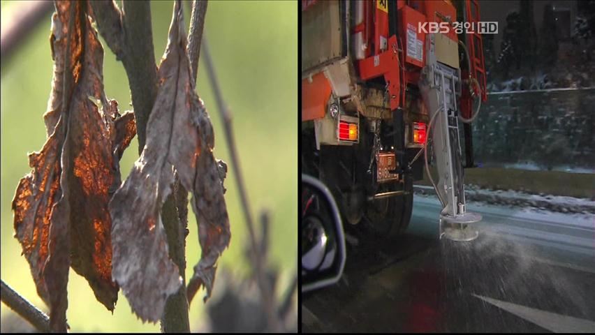 제설제에 과수농가 피해…첫 배상 결정