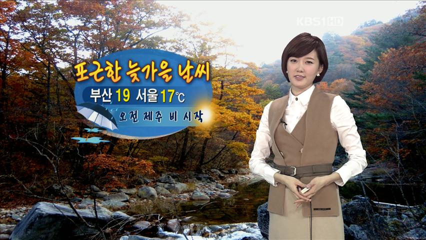 포근한 늦가을 날씨…오전 제주 비 시작