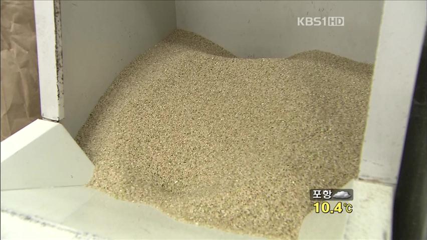 일본, 기준치 이상 방사선량 검출 쌀 첫 발견