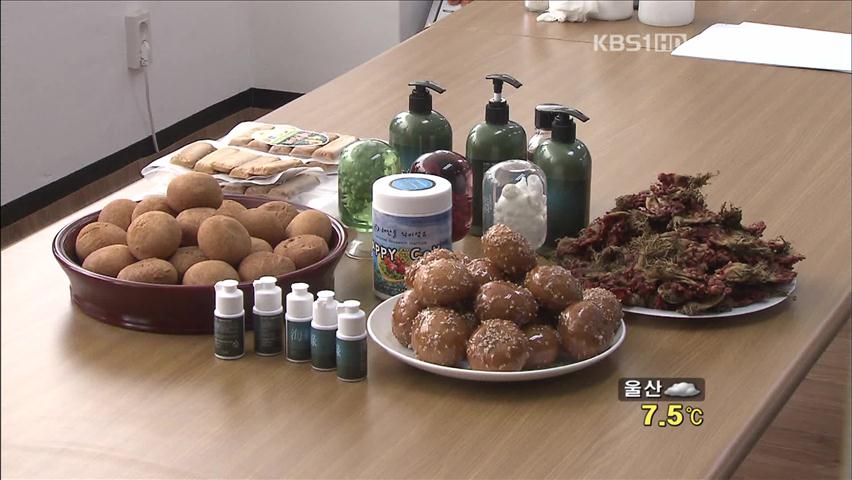 멍게껍질의 ‘무한 변신’