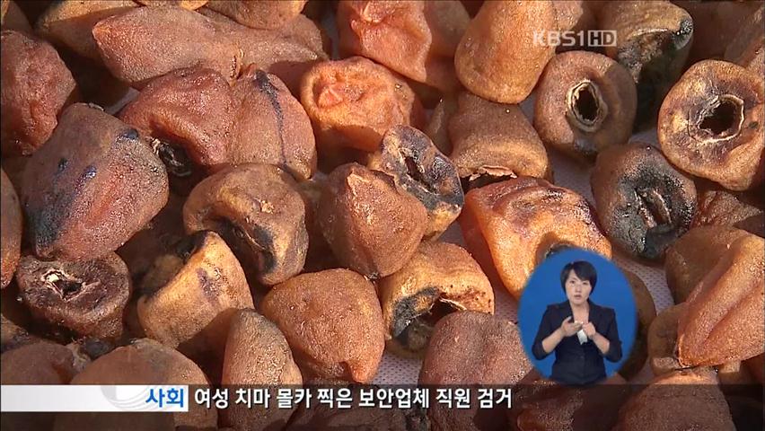 상주 곶감농가, 이상고온으로 막대한 피해