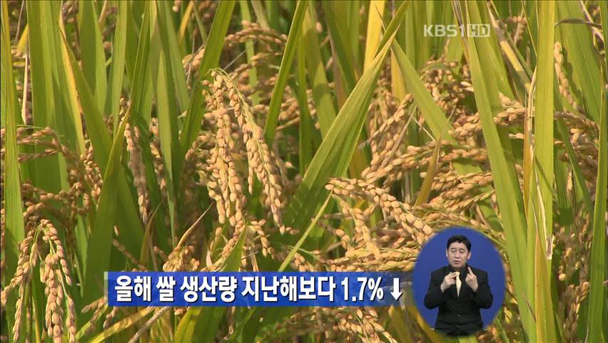 올해 쌀 생산량 지난해보다 1.7%↓