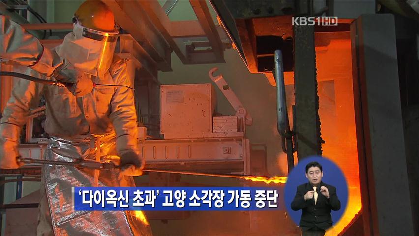 ‘다이옥신 초과’ 고양 소각장 가동 중단