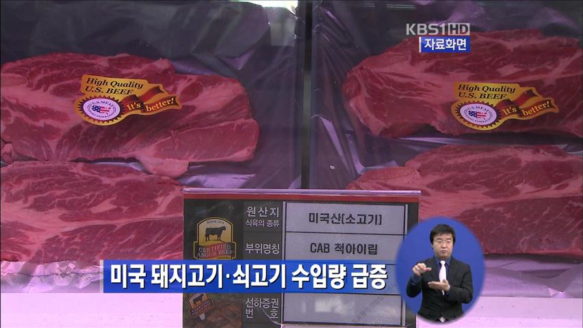 미국 돼지고기·쇠고기 수입량 급증