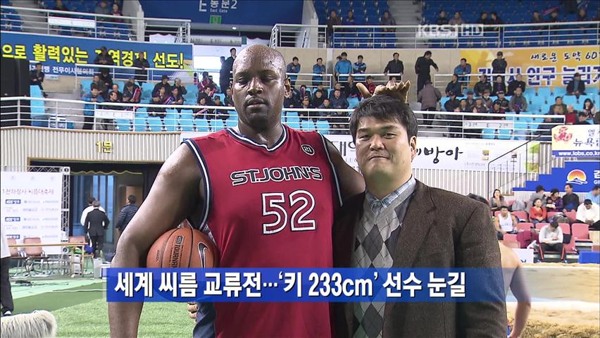 세계 씨름 교류전…‘키 233cm’ 선수 눈길