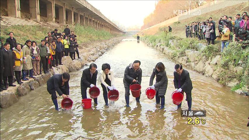 악취 풍기던 ‘반포천’, 자연 생태하천 복원