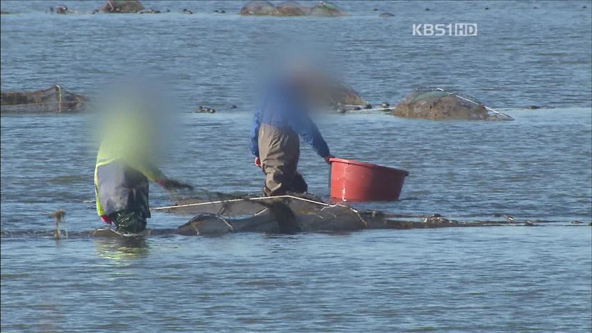 [자연과 인간] 철새 쫓아내는 ‘불법 어로’ 극성