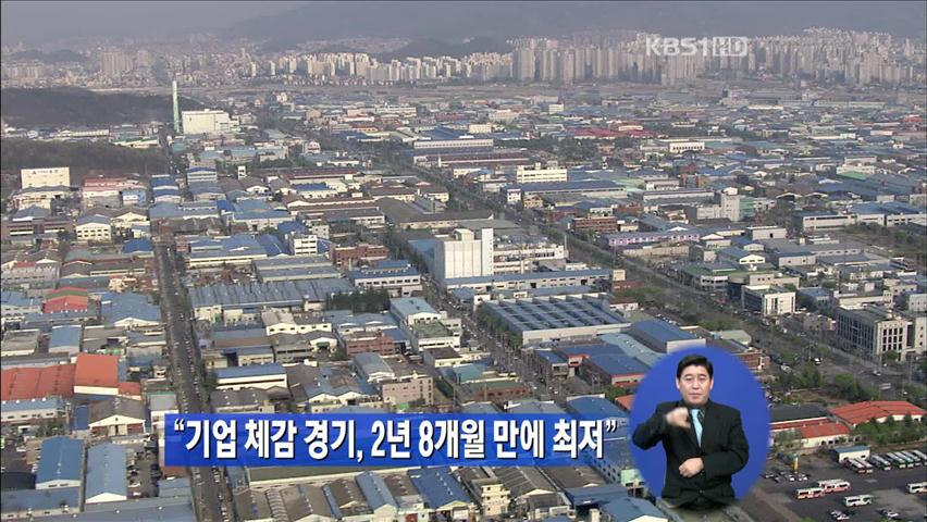 “기업 체감 경기, 2년 8개월 만에 최저”