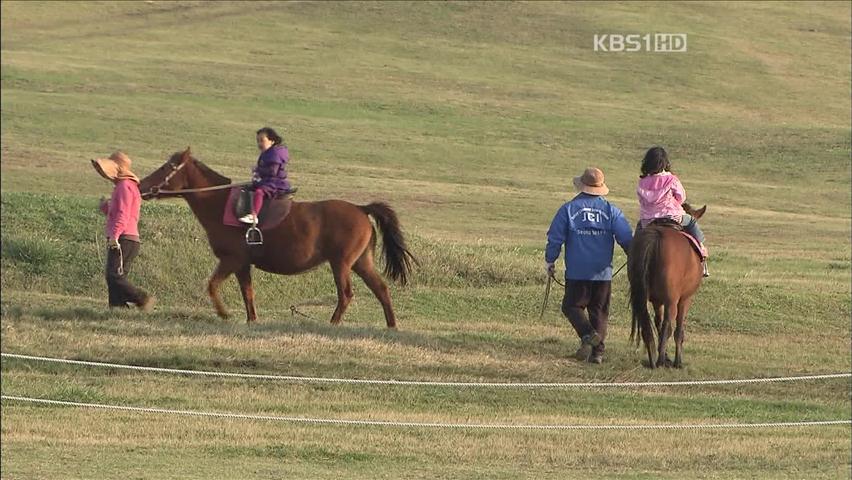 제주 관광객 사상 첫 800만 명 돌파 