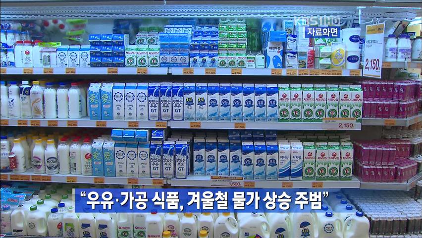“우유·가공식품, 겨울철 물가 상승 주범”