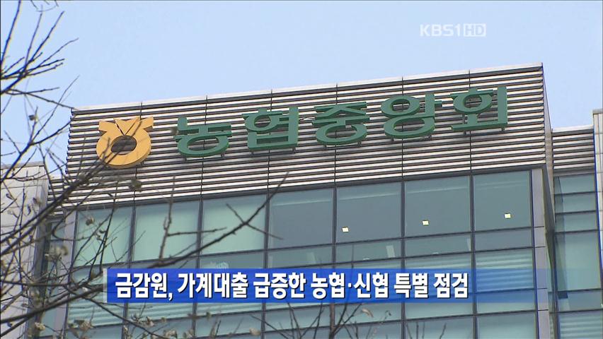 금감원, 가계대출 급증한 농협·신협 특별 점검