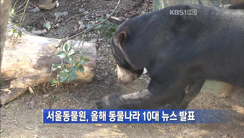 서울동물원, 올해 동물나라 10대 뉴스 발표