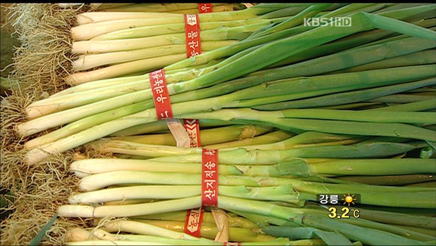 겨울 대파 가격 폭락…타들어 가는 농심