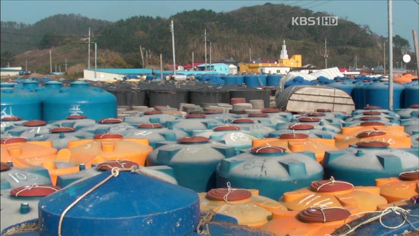 외딴 섬에서 100억 대 ‘불법 까나리액젓’ 제조