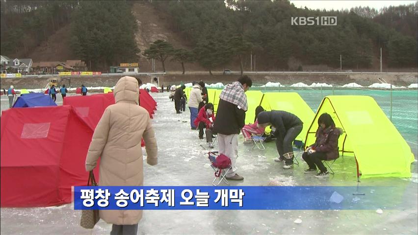 강원도 평창 송어축제 오늘 개막