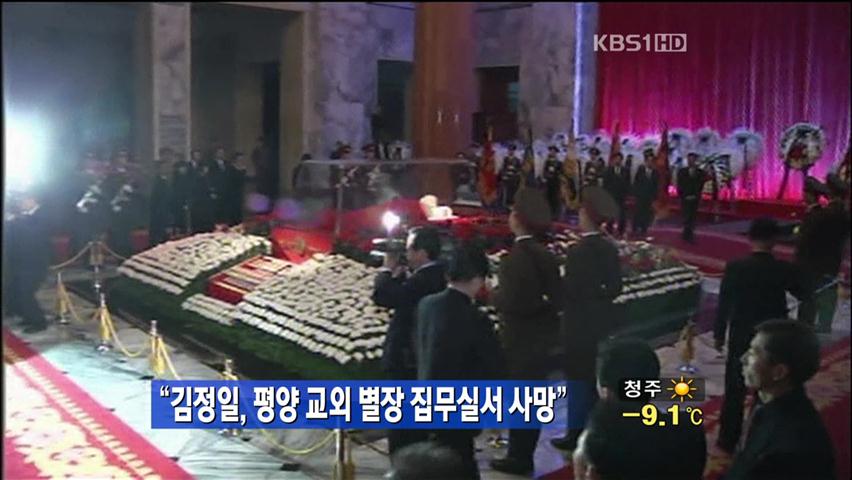 “김정일, 평양 교외 별장 집무실서 사망”