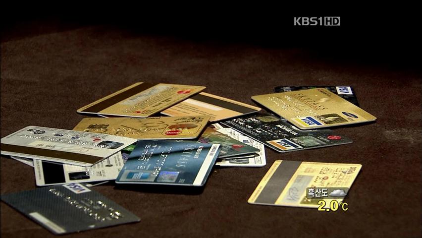 “20세 이상 가처분소득 있어야 신용카드 발급”