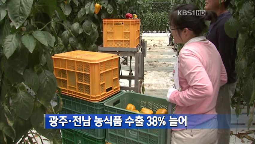 광주·전남 농식품 수출 38% 늘어