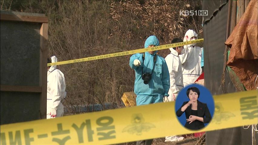 한우 10마리 집단 폐사…‘감전 가능성’ 높아   