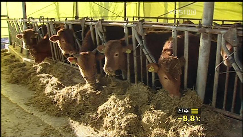 한미 FTA 발효…농가, 안전한 축산물로 승부