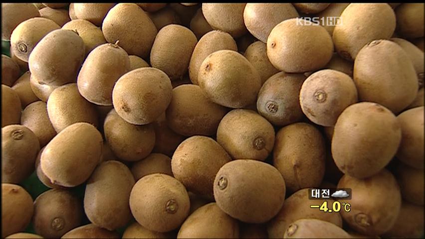 [생생경제] 고품질 농산물로 종주국 추월