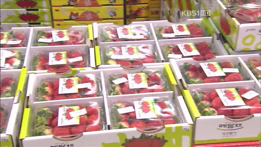 여름철보다 겨울철 딸기가 맛과 영양 풍부