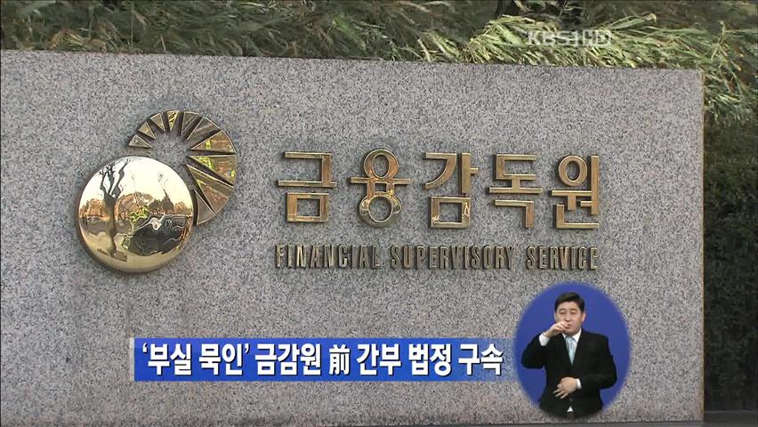 ‘저축銀 부실 묵인’ 금감원 前 간부 법정구속