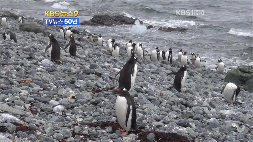 KBS뉴스 50주년 ‘남극을 가다’