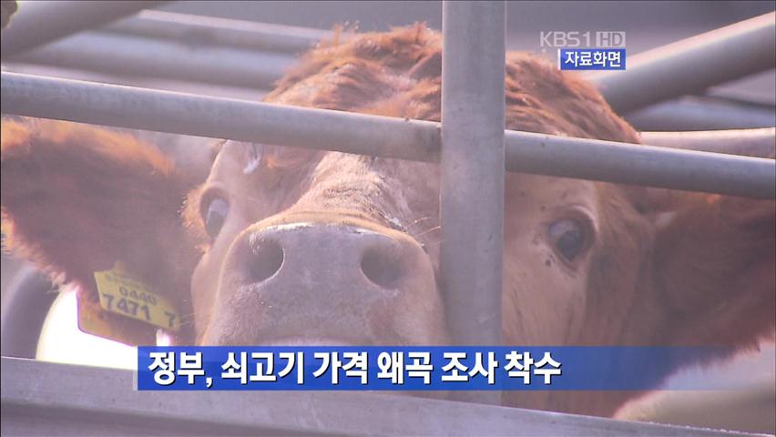 정부, 쇠고기 가격 왜곡 조사 착수