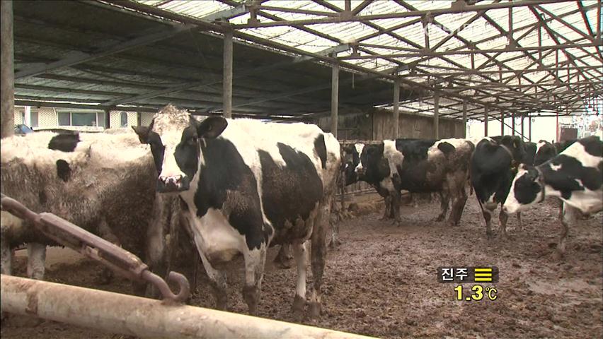 [생생경제] 정부 자금 대출 상환까지…축산농가 삼중고