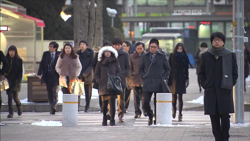 35년 만의 기록적 한파…‘북극진동’ 원인