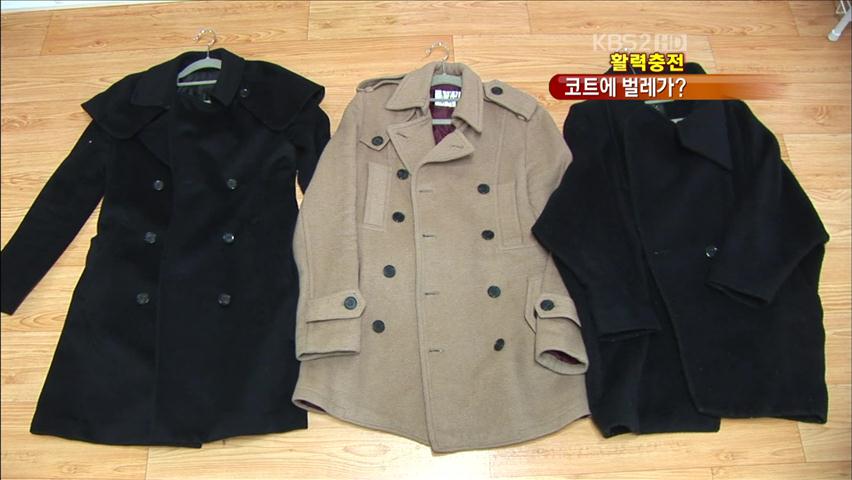 [활력충전] 깨끗해 보이는 겨울코트, 세균·진드기의 온상