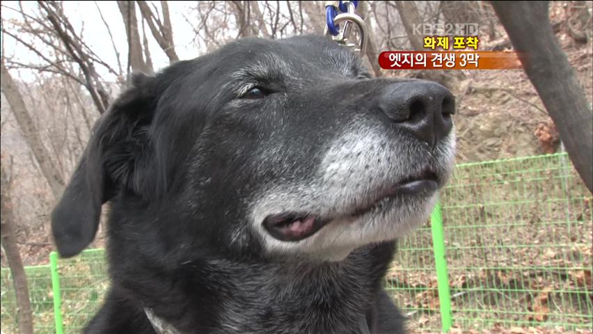 [화제포착] 엄친아 ‘엣지’ 가족을 찾습니다