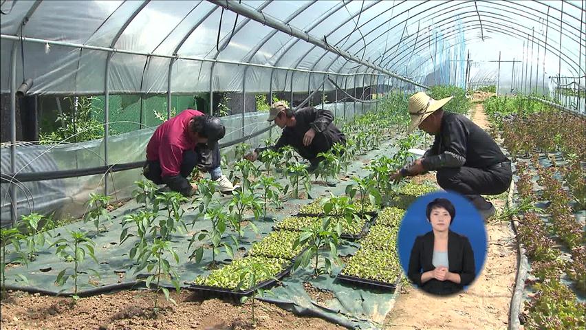 ‘농촌 해체’ 가속화…농가 인구 300만 명선 붕괴