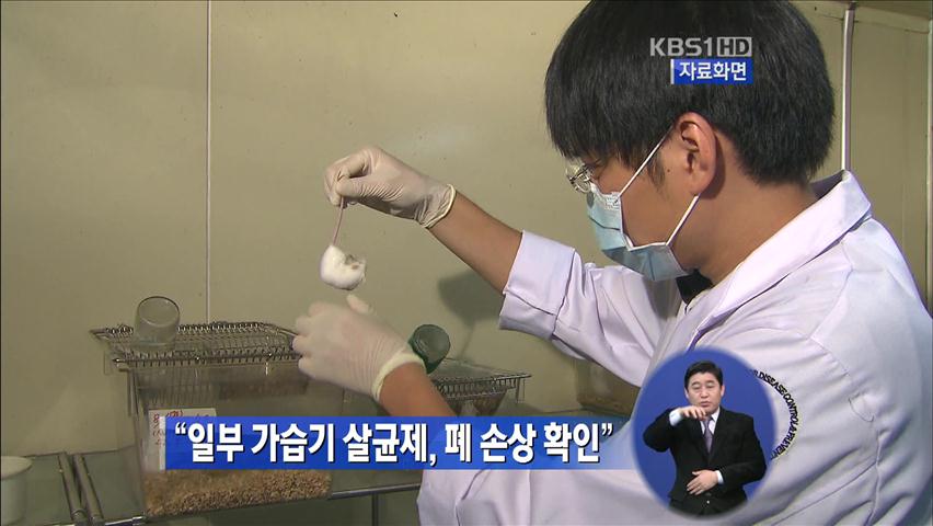 “일부 가습기살균제, 폐 손상 확인”