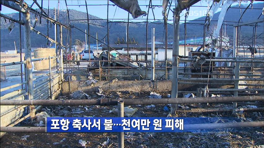 포항 축사 불…1,000여만 원 피해